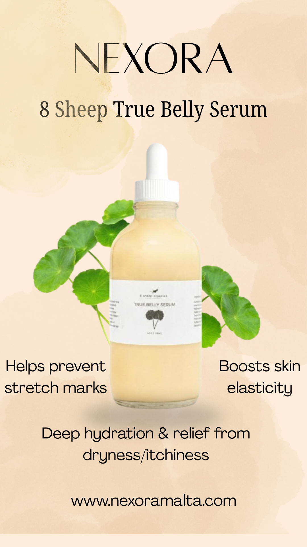 8 Sheep True Belly Serum